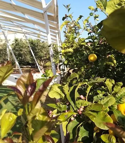 Pensionat Locazione Turistica Le Fate 4*