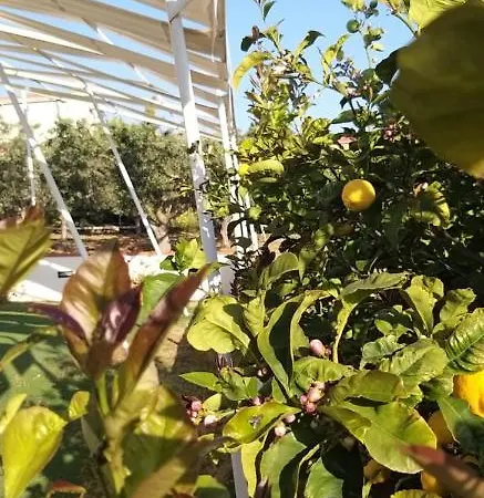 Guest house Locazione Turistica Le Fate 4*